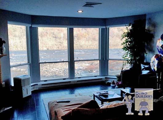 Silhouette® Sheer Shades in Living Room